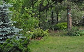 Apartament Wita